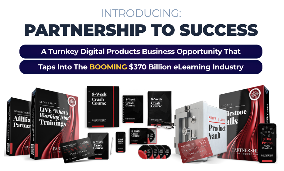 Introducing Partnership To Success